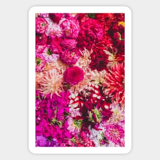 Vibrant Colorful Flowers Sticker